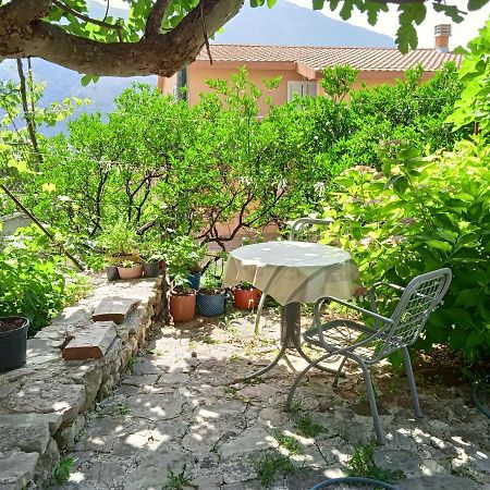 Sottomonte Apartman Kotor Kültér fotó